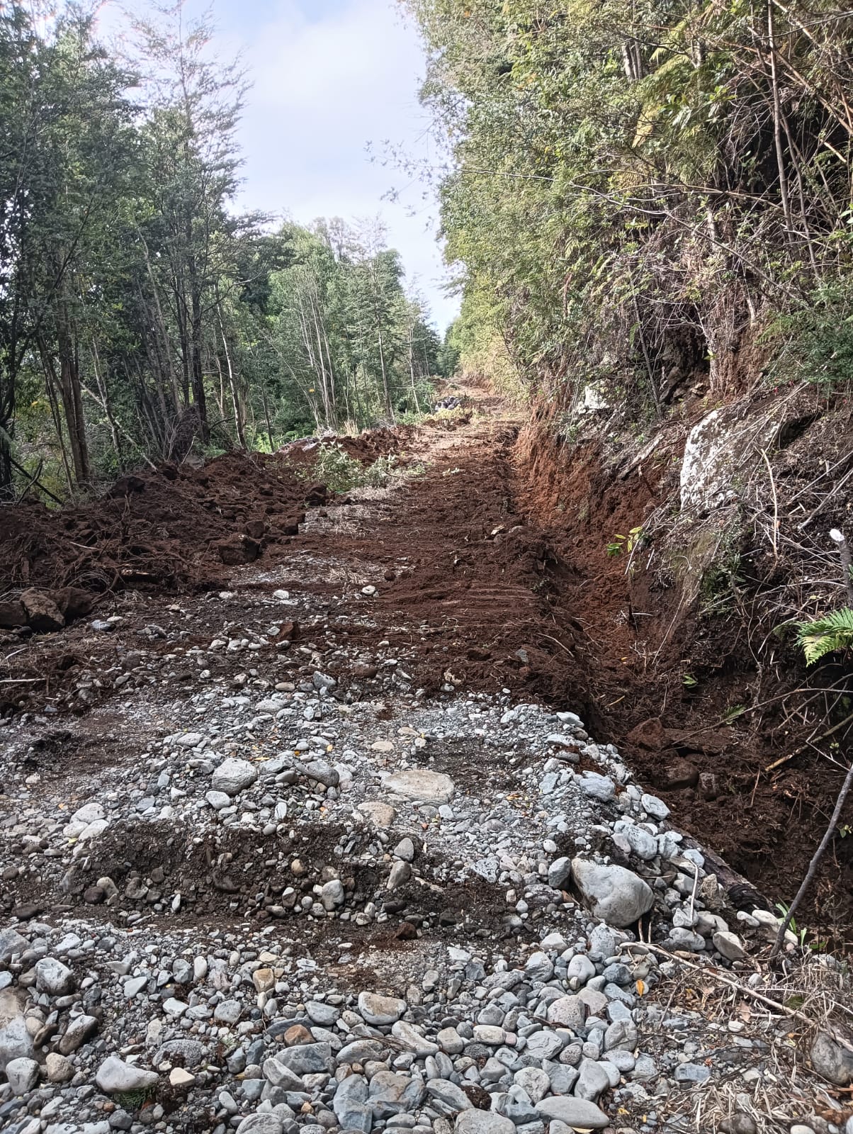 Habilitación de camino forestal en predio rural, sur de Chile